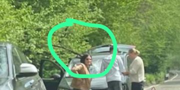 DE ULTIM MOMENT: Aproape de tragedie pe DN 18. Un copac a căzut pentru un autoturism aflat în mers