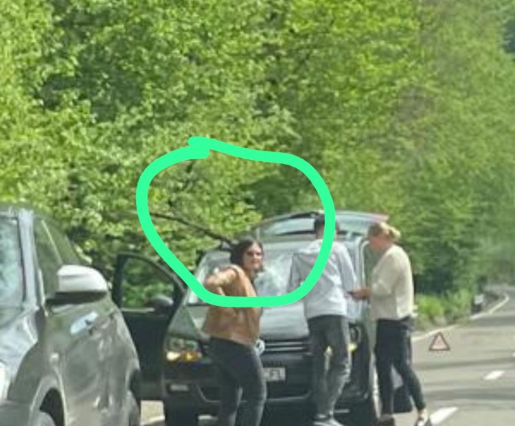 DE ULTIM MOMENT: Aproape de tragedie pe DN 18. Un copac a căzut pentru un autoturism aflat în mers