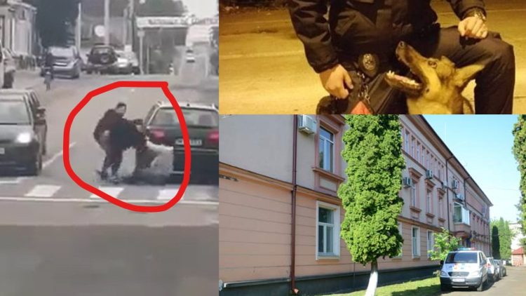 IPJ Maramureș, sat fără câini