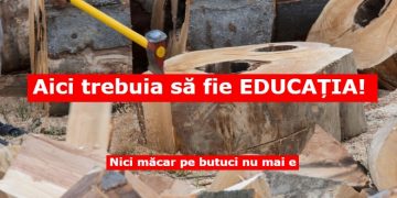Vai și amar de ea educație! Ne-au vrut o nație de proști și le-a cam ieșit!