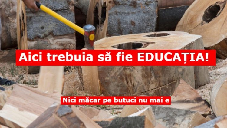 Vai și amar de ea educație! Ne-au vrut o nație de proști și le-a cam ieșit!
