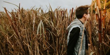 Veste bărbați – îmbrăcăminte la modă pentru bărbați