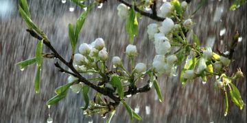 Un nou val de frig cu ploi și vânt intens. Prognoza meteo pentru următoarele patru săptămâni