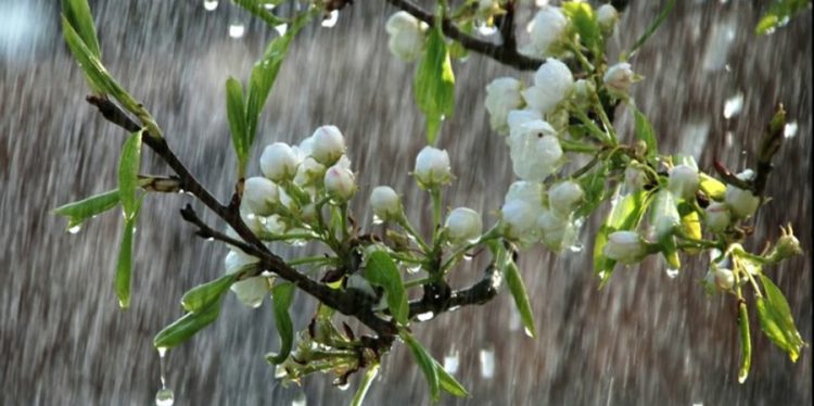 Un nou val de frig cu ploi și vânt intens. Prognoza meteo pentru următoarele patru săptămâni