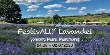 Florin Chilian va cânta în lanul de lavandă la FestivALU’ Lavandei de la Şomcuta Mare
