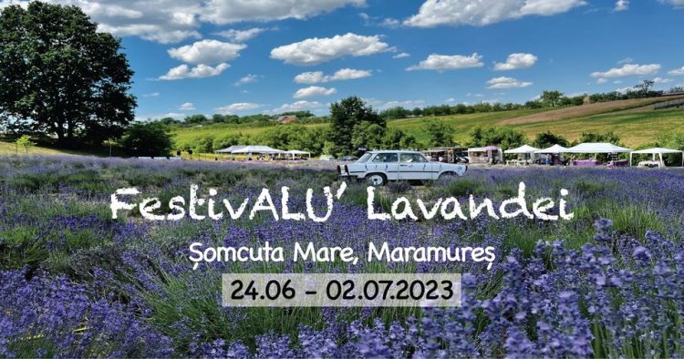 Florin Chilian va cânta în lanul de lavandă la FestivALU’ Lavandei de la Şomcuta Mare