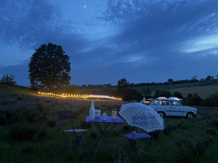 Florin Chilian cântă vineri în lanul de lavandă de la Şomcuta Mare