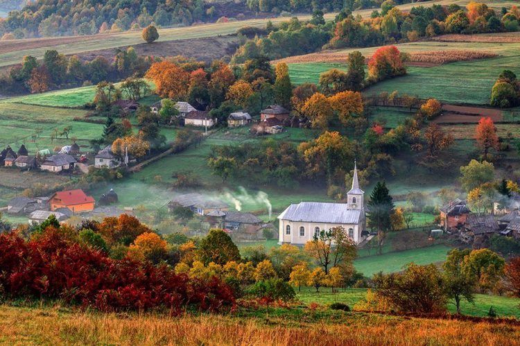 Accident în Țara Lăpușului! O fetiță de 9 ani a ajuns la spital