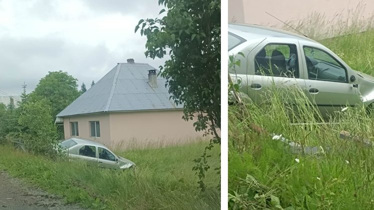 IEȘIRE ÎN DECOR la Băiuț