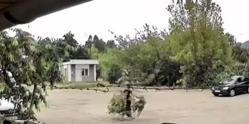 Scurt metrajul „La cireșe”, filmat în Baia Mare. VIDEO inedit cu un Nică al zilelor noastre