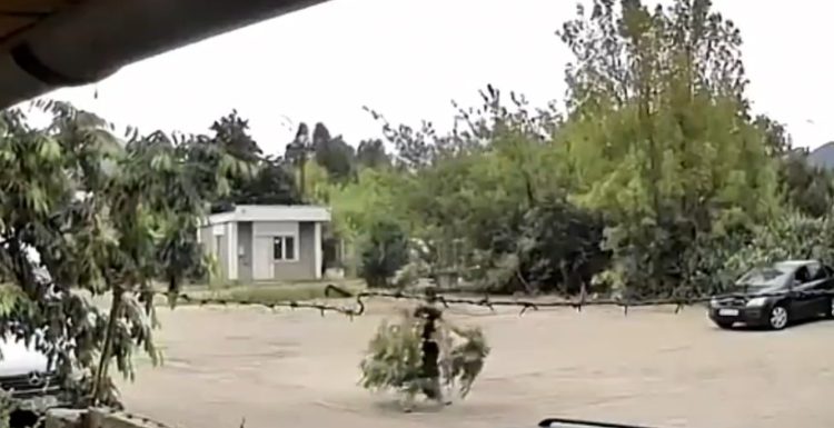 Scurt metrajul „La cireșe”, filmat în Baia Mare. VIDEO inedit cu un Nică al zilelor noastre