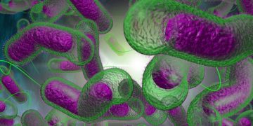 Risc de holeră și alte boli grave, la granița cu Ucraina