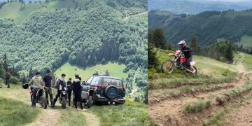 INCONȘTIENȚĂ ÎN STARE PURĂ: Poiana cu Narcise din Munții Maramureșului, vandalizată. VIDEO