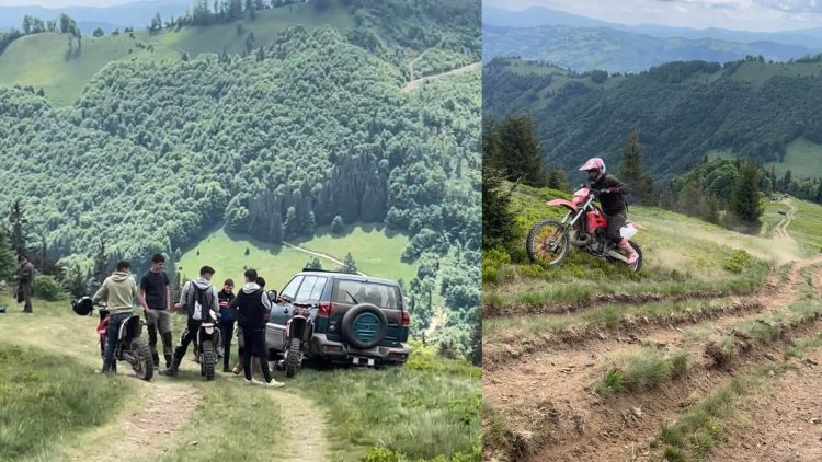 INCONȘTIENȚĂ ÎN STARE PURĂ: Poiana cu Narcise din Munții Maramureșului, vandalizată. VIDEO