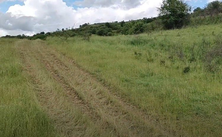 Rogojenii se revoltă! 20 de crescători de animale solicită sprijinul administrației locale lăpușene pentru întreținerea unui drum agricol! VIDEO