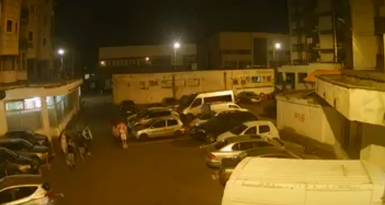 Autoturisme parcate pe Strada Școlii din Baia Mare, luate la pumni și picioare de un grup de tineri teribiliști. VIDEO