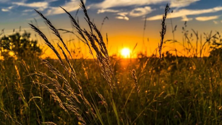 Solstițiul de vară 2023: 21 iunie – cea mai lungă zi din an și începutul verii astronomice