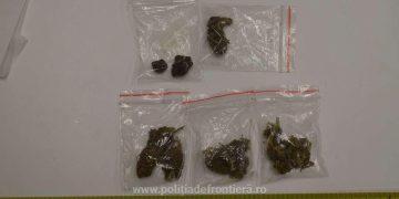 Trei tineri depistați cu droguri în Vadu Izei