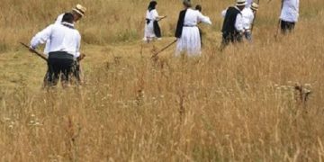 Invitaţie la clacă de coasă, pe Valea Mare – comuna Groşi