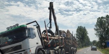 TIR încărcat cu buşteni, în şanţ pe DN 18B