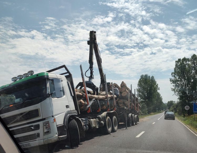 TIR încărcat cu buşteni, în şanţ pe DN 18B