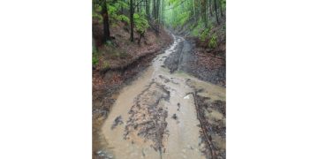 Efectele ploilor torenţiale. Cartierul Băița din Tăuții Măgherăuș rămâne fără apă