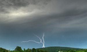 Tragedie în Cluj. Doi bărbaţi, fraţi, care păşteau vacile au murit împreună cu 8 din animalele lor, loviţi de fulger