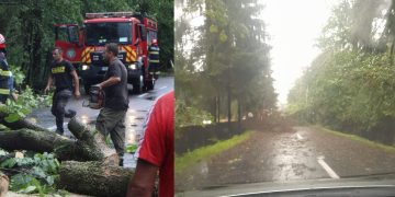 Drumuri blocate, copaci rupți, furtuni și telefoane înroșite de RO-ALERT
