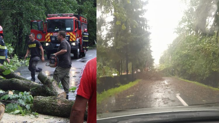 Drumuri blocate, copaci rupți, furtuni și telefoane înroșite de RO-ALERT