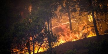 Grecia arde. Insula preferată a turiștilor este evacuată de urgență