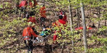 TRAGEDIE ÎN MARAMUREȘ: Tânăr de 20 de ani, plecat în drumeţie, găsit spânzurat în pădure