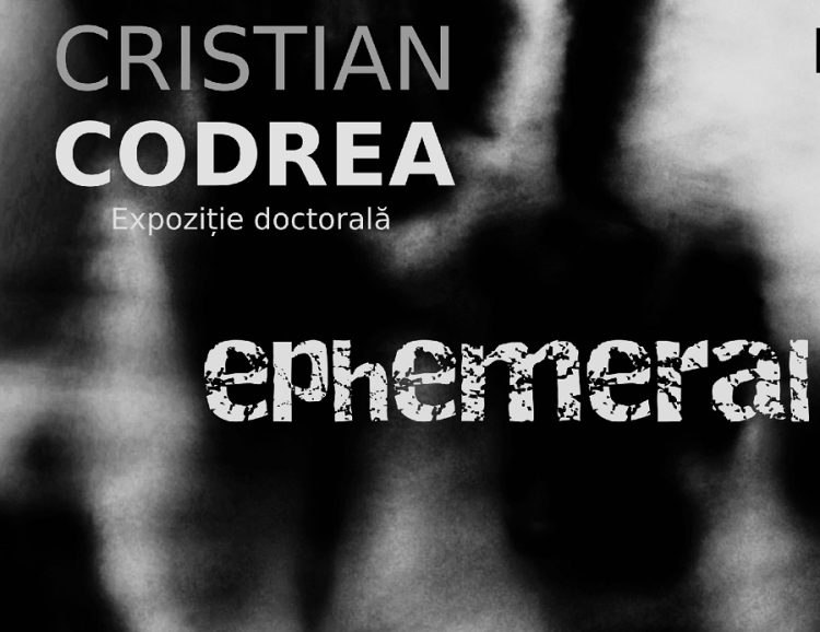 Ephemeral, expoziţie doctorală Cristian Codrea, la Galeria de Artă UAP