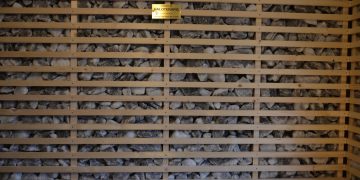 Un nou proiect Rotary Baia Mare 2005: a şasea cameră de haloterapie din Maramureş