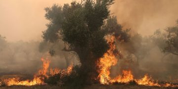 MAE a emis o atenţionare de călătorie pentru românii care merg în Turcia, din cauza izbucnirii unui incendiu devastator