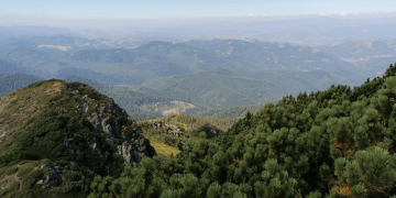 Bunătatea la cote înalte!