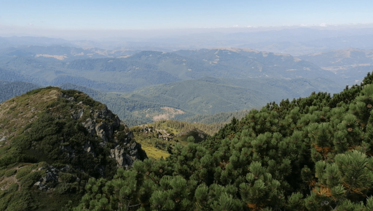Bunătatea la cote înalte!