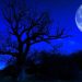 Se întâmplă la noapte. Superluna Albastră va lumina cerul