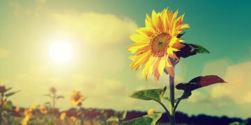 Vremea se schimbă din nou. Prognoza meteo până în 11 septembrie