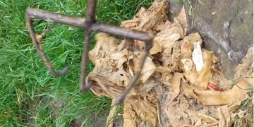 Anunţ important de la Vital. Prevenirea colmatării rețelelor de canalizare