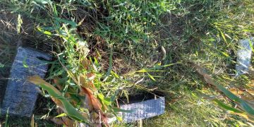 Contrabandă cu drona la frontiera de nord