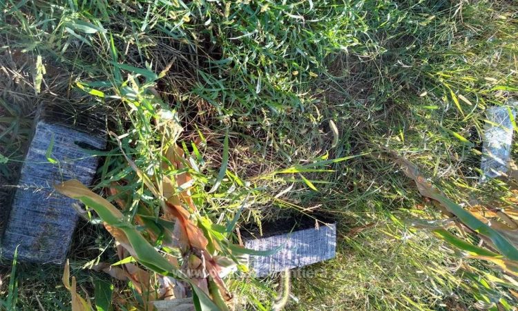 Contrabandă cu drona la frontiera de nord