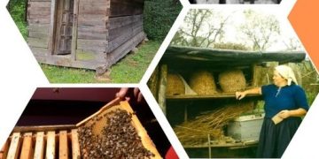 Atelier de albinărit şi târg de produse apicole în Sighetu Marmaţiei