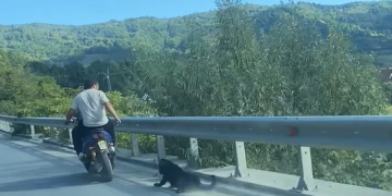 Ce spune poliţia despre tânărul fără permis care a ieşit la plimbare cu o motocicletă, de care a legat un câine. VIDEO