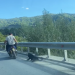 Ce spune poliţia despre tânărul fără permis care a ieşit la plimbare cu o motocicletă, de care a legat un câine. VIDEO