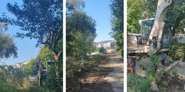 Mesaj de la TÂRGU LĂPUȘ: „Dragii mei, am crescut cu voi, am îmbătrânit împreună cu voi…Mă doare sufletul!”