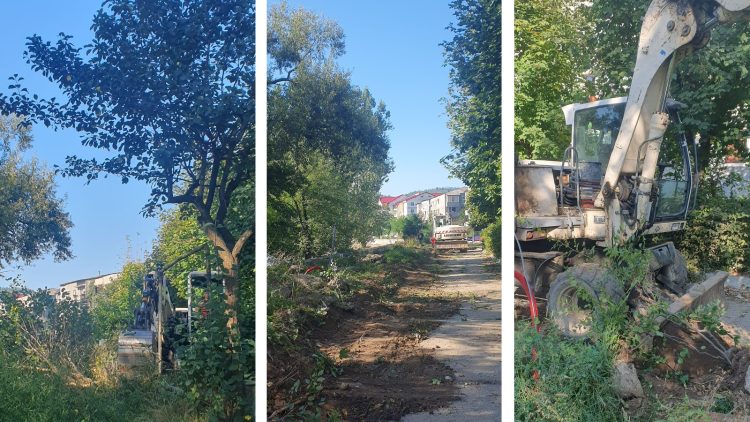 Mesaj de la TÂRGU LĂPUȘ: „Dragii mei, am crescut cu voi, am îmbătrânit împreună cu voi…Mă doare sufletul!”