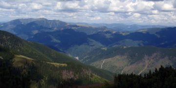 Descoperire macabră în zona de frontieră. Un bărbat din Repedea a mers la cules de ciuperci şi a găsit un cadavru