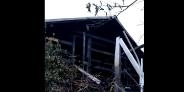 Haideți să fim mai buni: Casa Marianei a ars în puternicul incendiu de la începutul săptămânii din Săsar