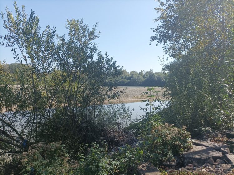 Au fost verificate construcțiile hidrotehnice din Maramureș