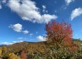 Septembrie cu temperaturi de peste 30 de grade Celsius, dar și cu ploi în Maramureş